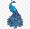 Конкурс красоты
