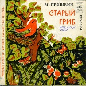 Старый гриб - 