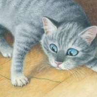Кот Васька - 